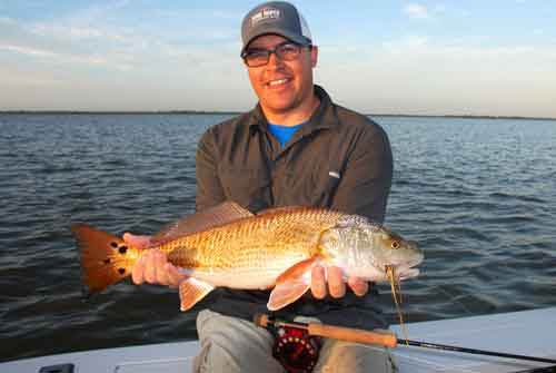 redfish on bendback fly in mosquito lagoon