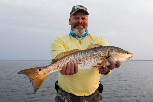 mosquito lagoon red drum guide