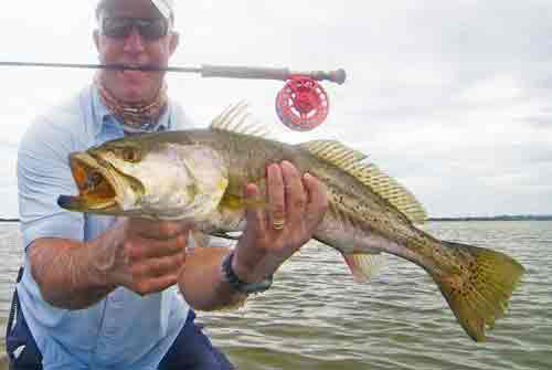 seatrout fly fishing charters