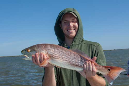 new smyrna redfish charters