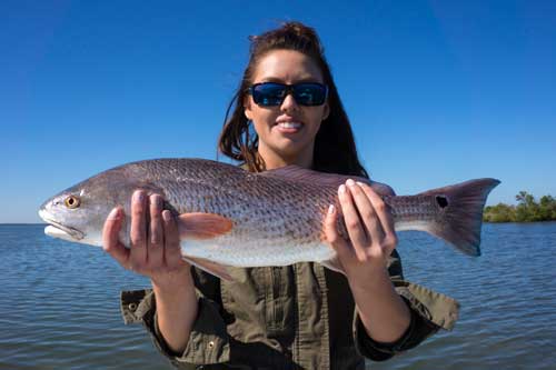 shallow water redfish guide