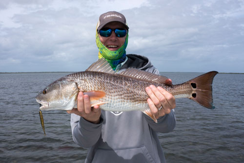 mosquito lagoon guided fishing tours