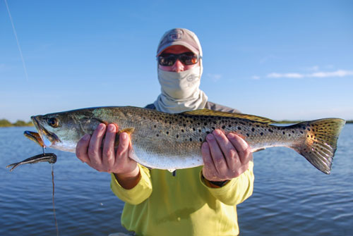 mosquito lagoon trout fishing