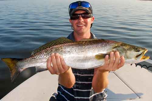mosquito lagoon giant trout