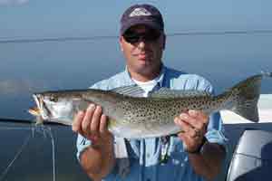 seatrout on fly
