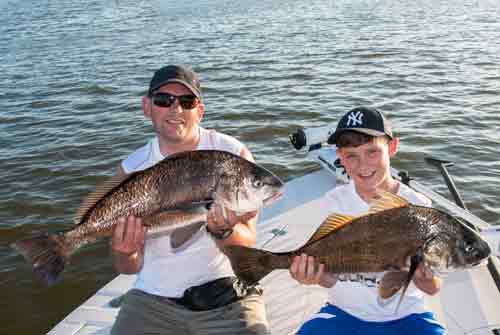 black drum double