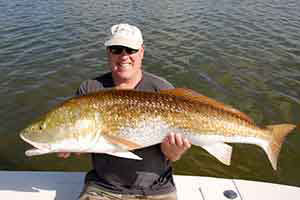 Mosquito Lagoon Bull redfish guide