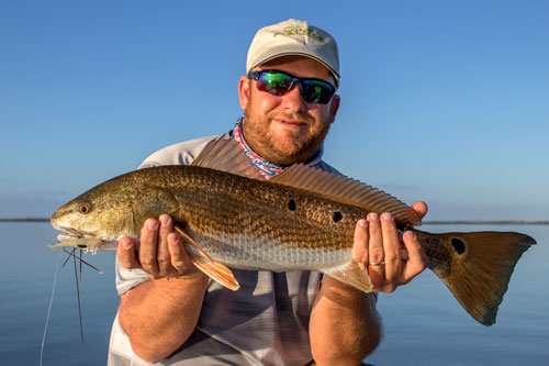 Mosquito bay redfish guide