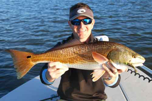 bull redfish