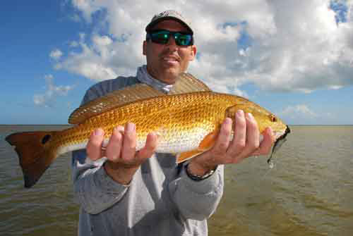 mosquito lagoon tailing redfish