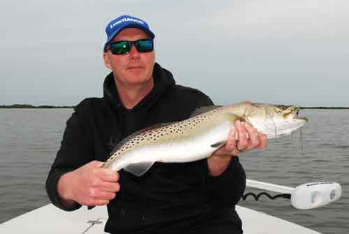 mosquito lagoon seatrout