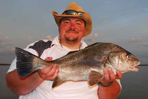 mosquito lagoon black drum