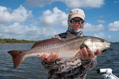 mosquito lagoon april tailing redfish