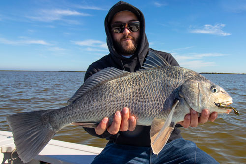 black drum fishing trips