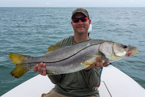 cocoa beach snook