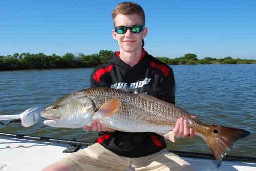 Indian River Lagoon Redfish