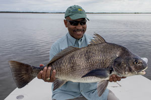 new smyrna beach fishing charters