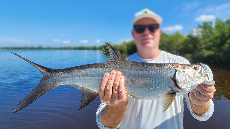Fly fishing tarpon in Mosquito Lagoon near Orlando