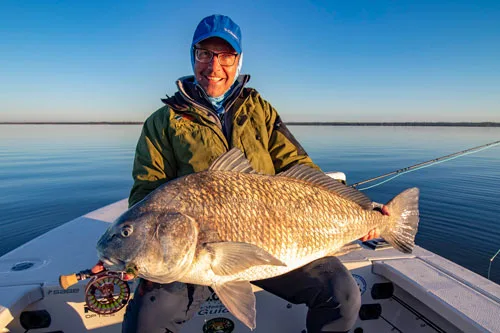 black drum on fly in Mosquito Lagoon
