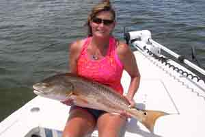 new smyrna beach bull redfish