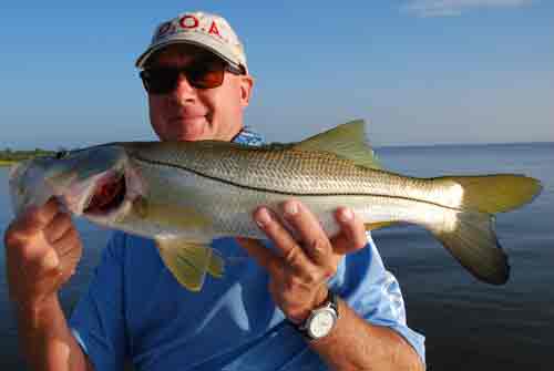 mosquito lagoon snook