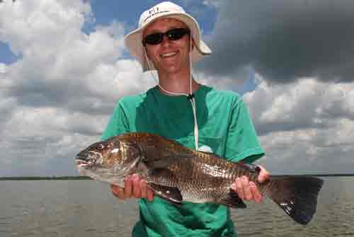 black drum central florida