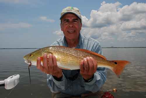 redfish on fly