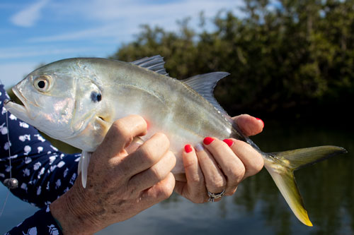  kids fishing trips near new smyrna