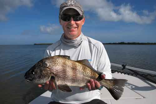 black drum mosquito lagoon