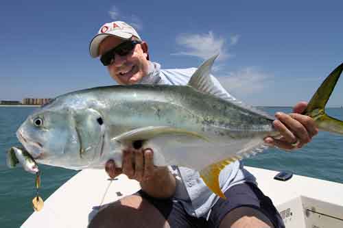 cocoa beach jack crevalle