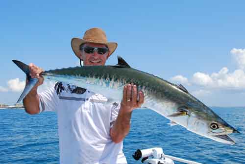 port canaveral kingfish