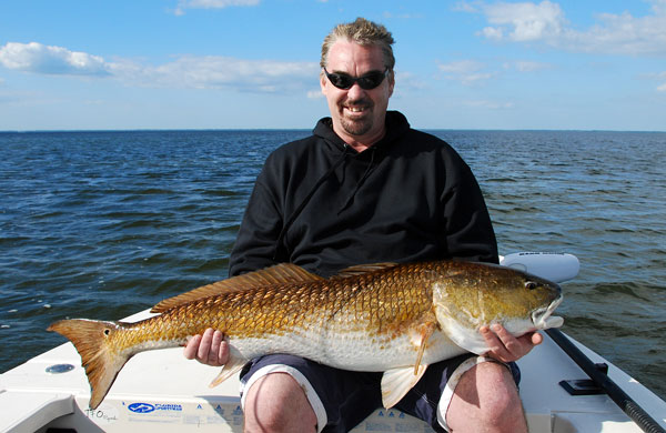 Indian River bull redfish charter