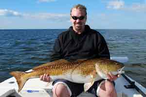 indian river bull redfish