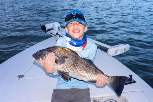 mosquito lagoon black drum