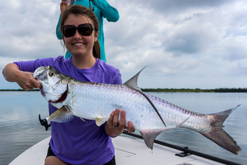 mosquito lagoon tarpon