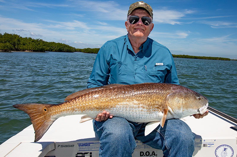 Redfish caught on fly in Mosquito Lagoon near Orlando