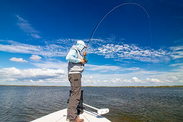 Mosquito Lagoon sight fishing charter