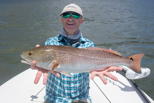 Mosquito Lagoon summer redfish