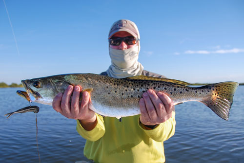 mosquito lagoon trout fishing