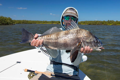 mosquito lagoon fly fishing