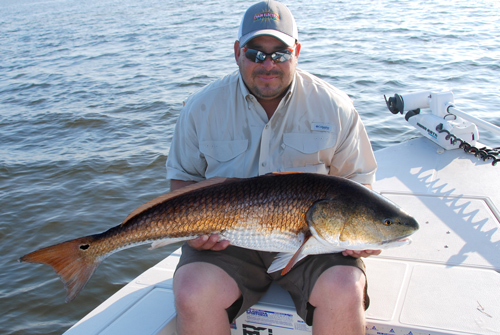 mosquito lagoon redfish guide