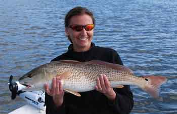 new smyrna beach redfish