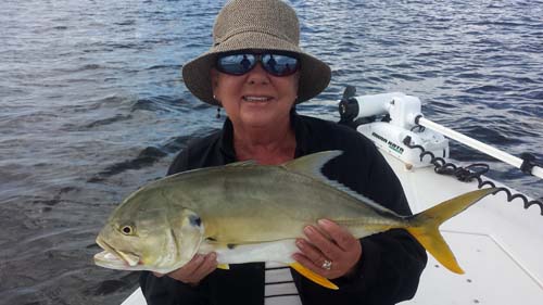 indian river jack crevalle