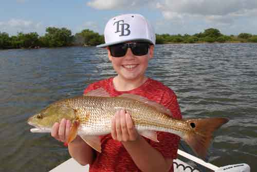 red drum mosquito lagoon