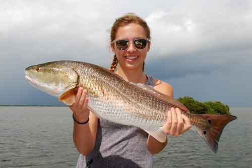 mosquito lagoon redfish