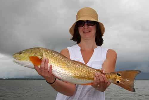 mosquito lagoon redfish