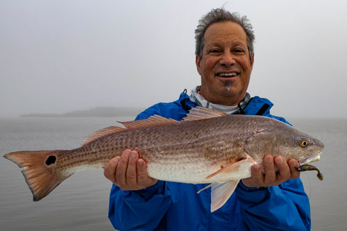 black drum fishing trips