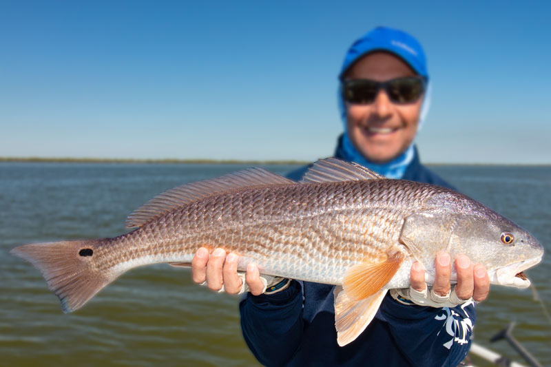 Redfish caught on fly in Mosquito Lagoon near Orlando