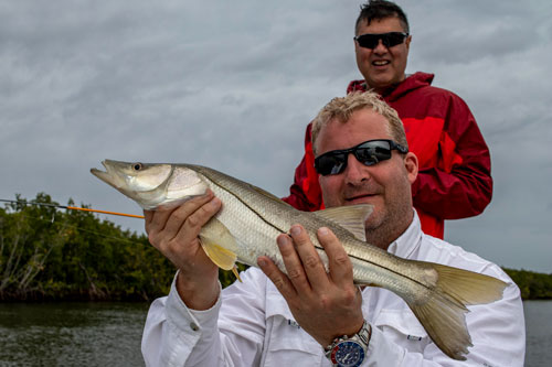 new smyrna beach snook