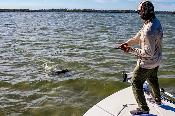 Redfish on the Fly in Mosquito Lagoon